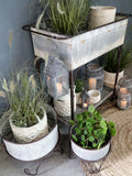 Chic Antique Pflanzenkasten auf Rädern ZINK Hochbeet mobil Barwagen