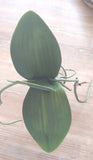 Kunstblätter Orchideen Rosette Luftwurzel
