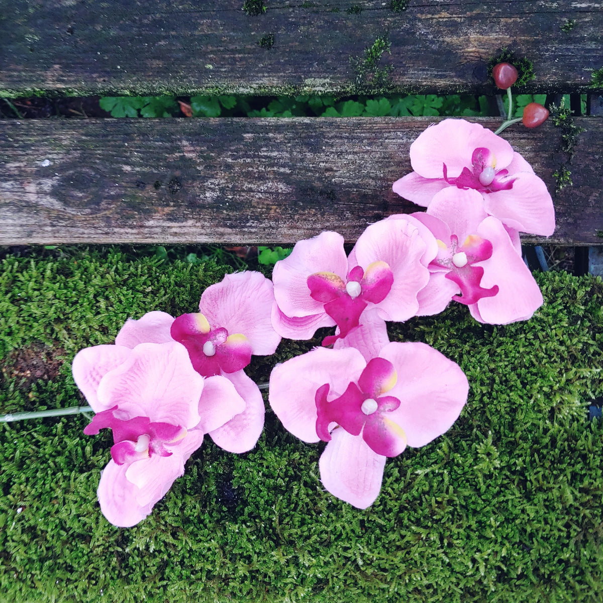 Seidenblume Orchidee Rispe pink