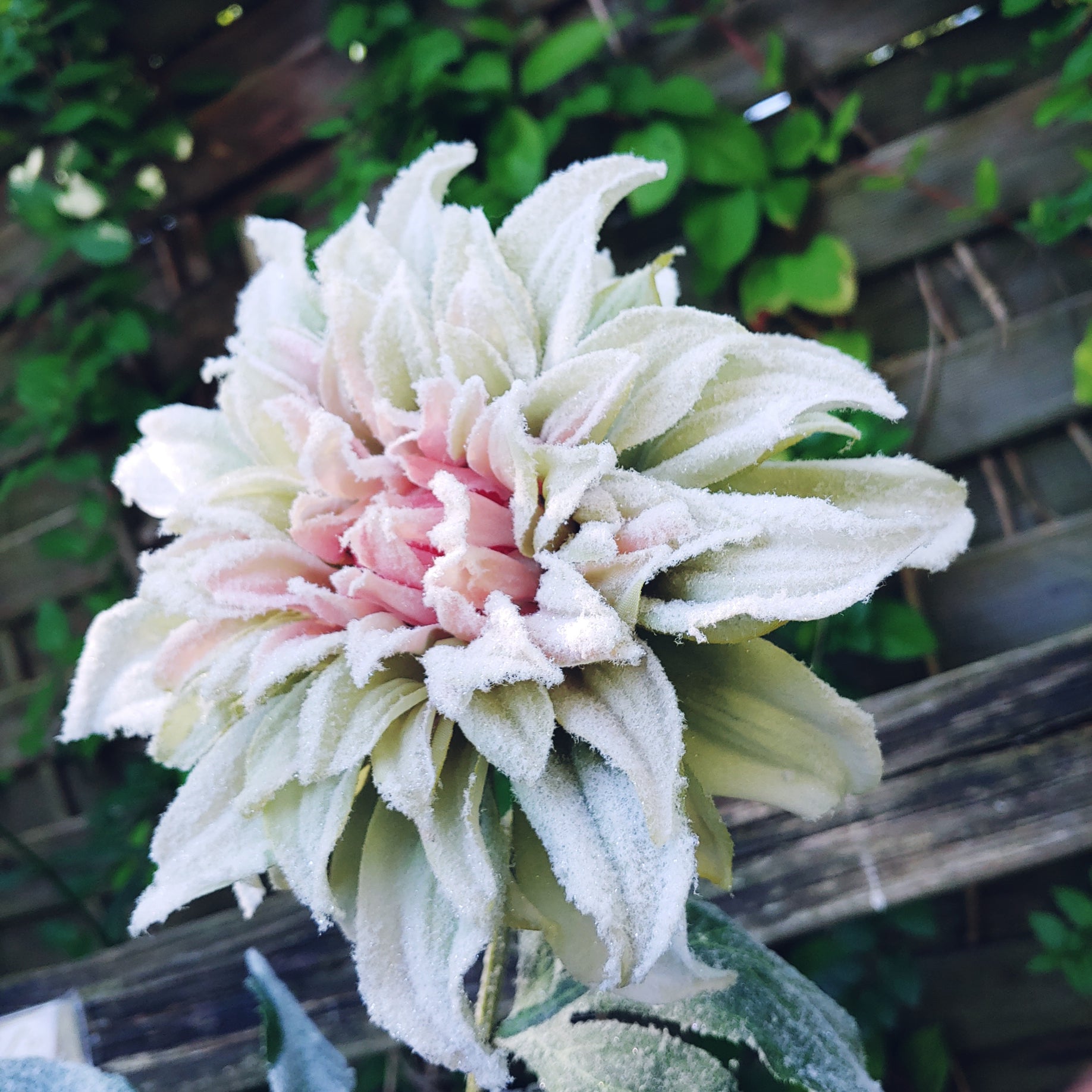 Blume Blüte Seidenblume gross ca. 60 cm