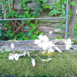 Blüten Zweig künstlicher Blumenstängel Magnolie creme weiss