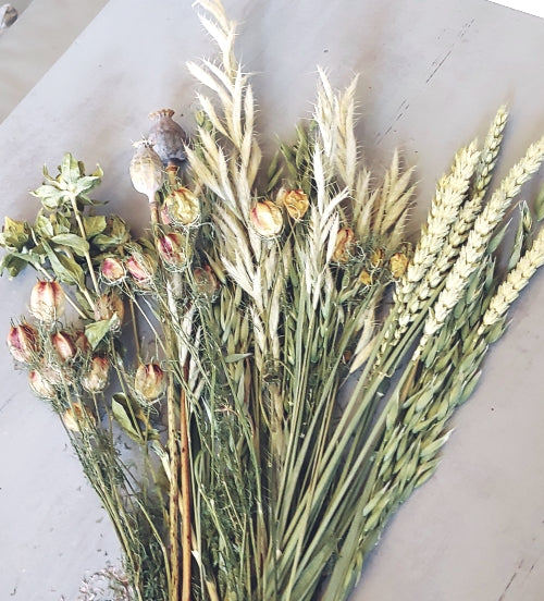 Trockenblumen, Eukalyptusblättern, Gräsern und Rispen,Disteln,grün,wei